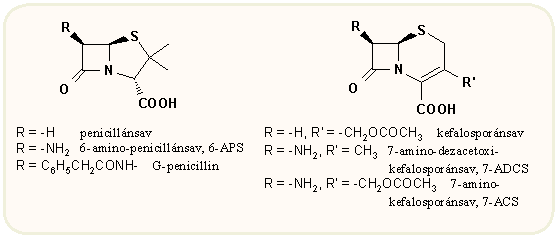 6-APS és 7-ADCS