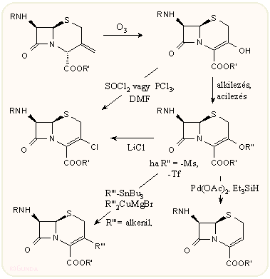 3-exometilén-kefalosporinok továbbalakitása