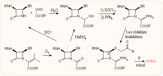 N-foszforán kialakítása
