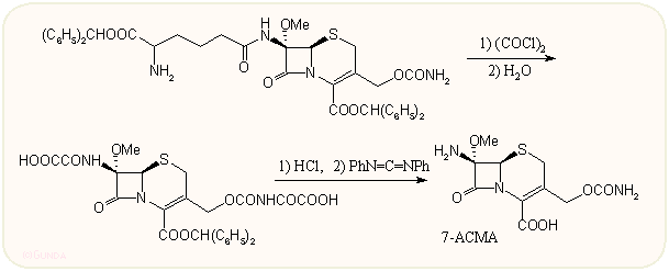 Az amino-adipoil oldallánc eltávolítása