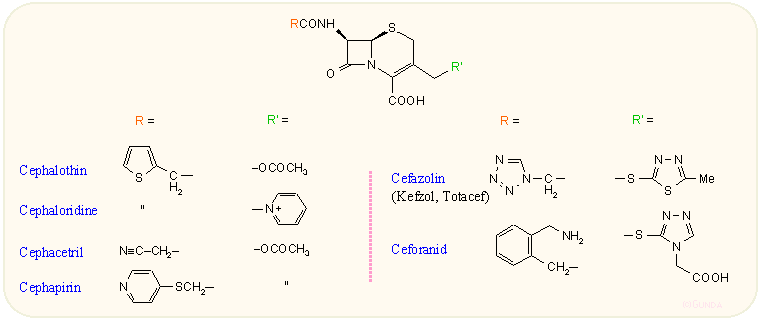 1. generációs parenterális kefalosporinok