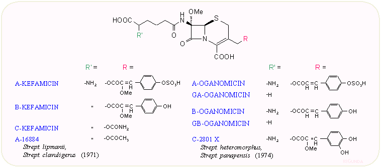 Természetes kefamicinek