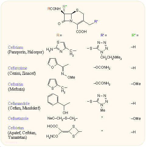 2. generációs parenterális kefalosporinok