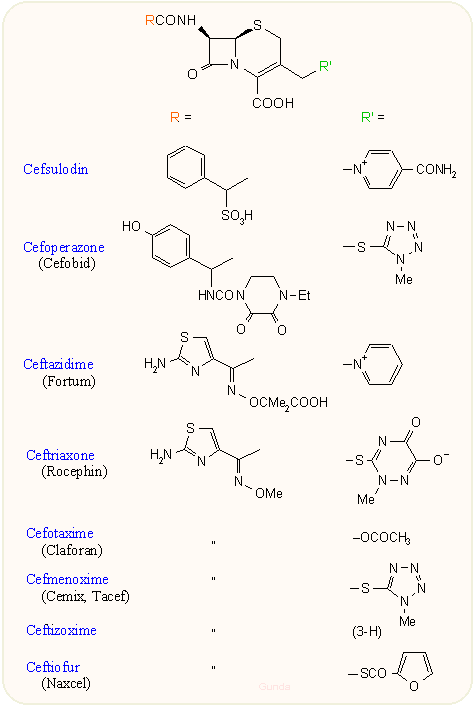 3. generációs parenterális kefalosporinok