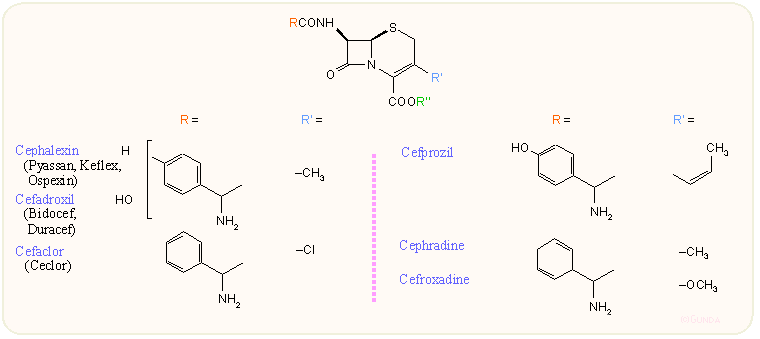Orális 2. generációs kefalosporinok