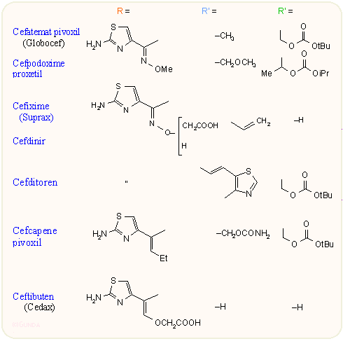 Orális 3. generációs kefalosporinok
