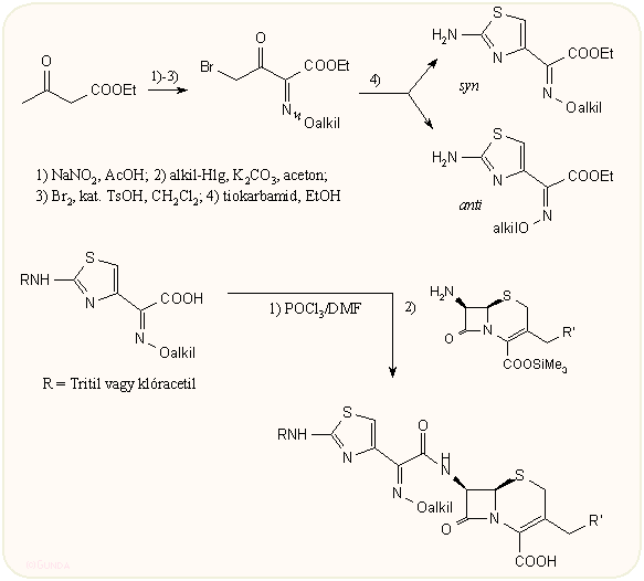 A (2-amino-4-tiazolil)-alkoximinoacetil oldallánc kialakítása
