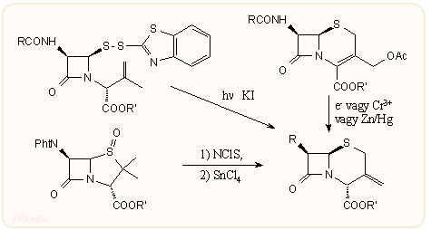3-exometilén-kefalosporin kialakitása