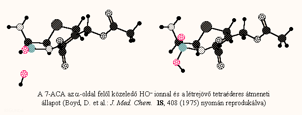 Tetraéderes átmeneti állapot