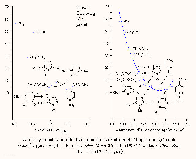 Szerkezet-hatás összefüggés