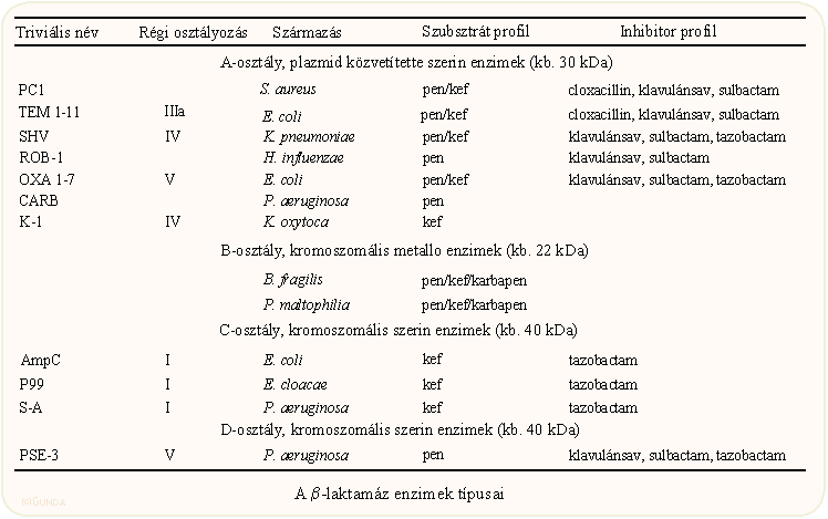 A β-laktamáz enzimek típusai