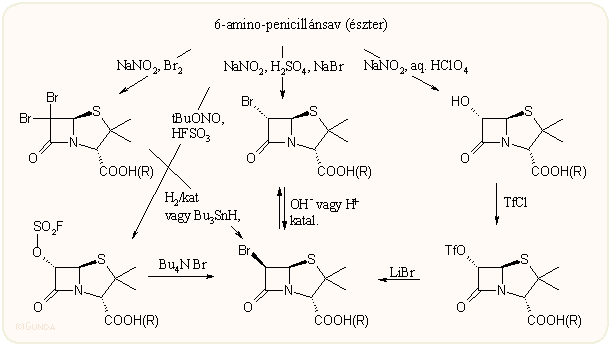 6-Halogén-penicillán savak