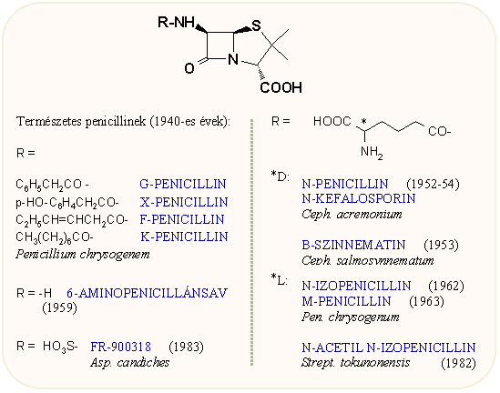 Természetes penicillinek