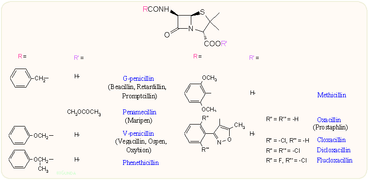 Félszintetikus penicillinek 1.