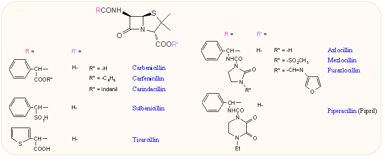 Félszintetikus penicillinek 3.