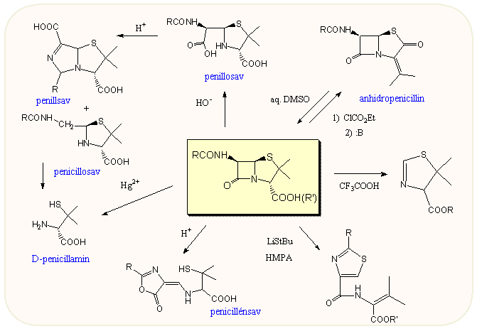 A penicillinek néhány bomlási reakciója