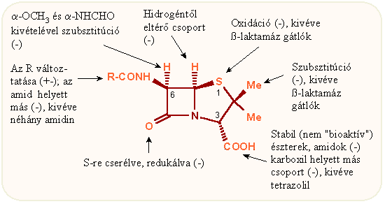 Szerkezeti változtatások és biológiai hatás
