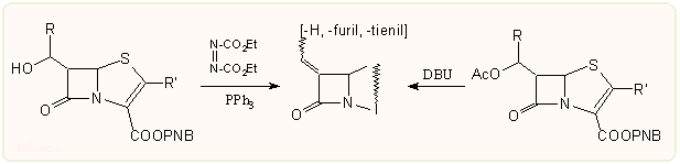6-alkilidén-penem