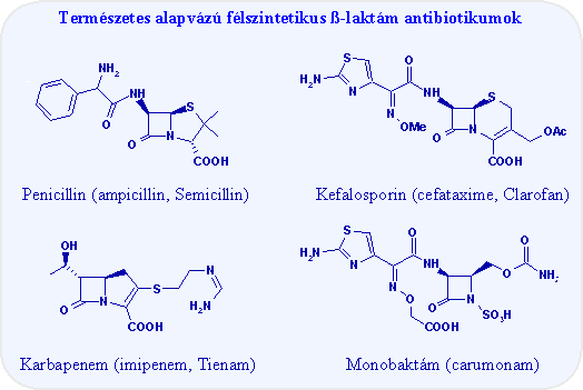 Néhány félszintetikus béta-laktám antibiotikum