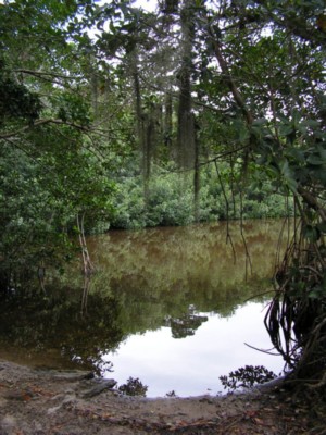 Pict0078.jpg